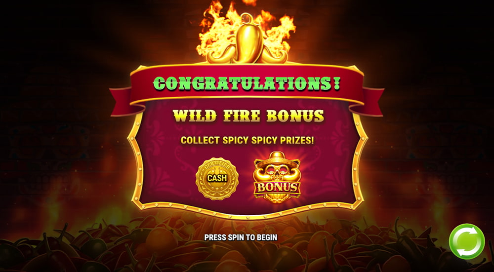 スパイス・スパイス・ベイビー！ Wild Fire Bonus